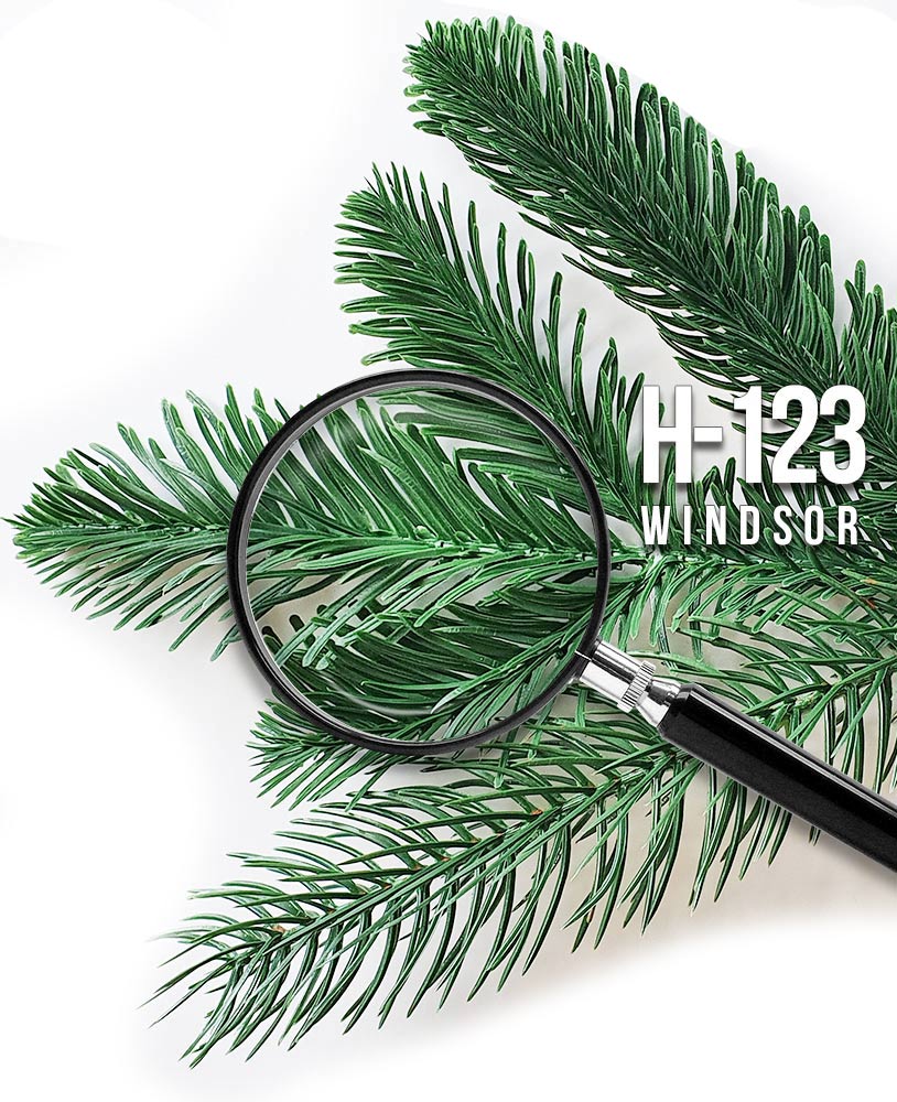 Original-Nadeldetail: Windsor