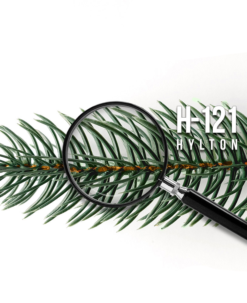 Original-Nadeldetail: Hylton