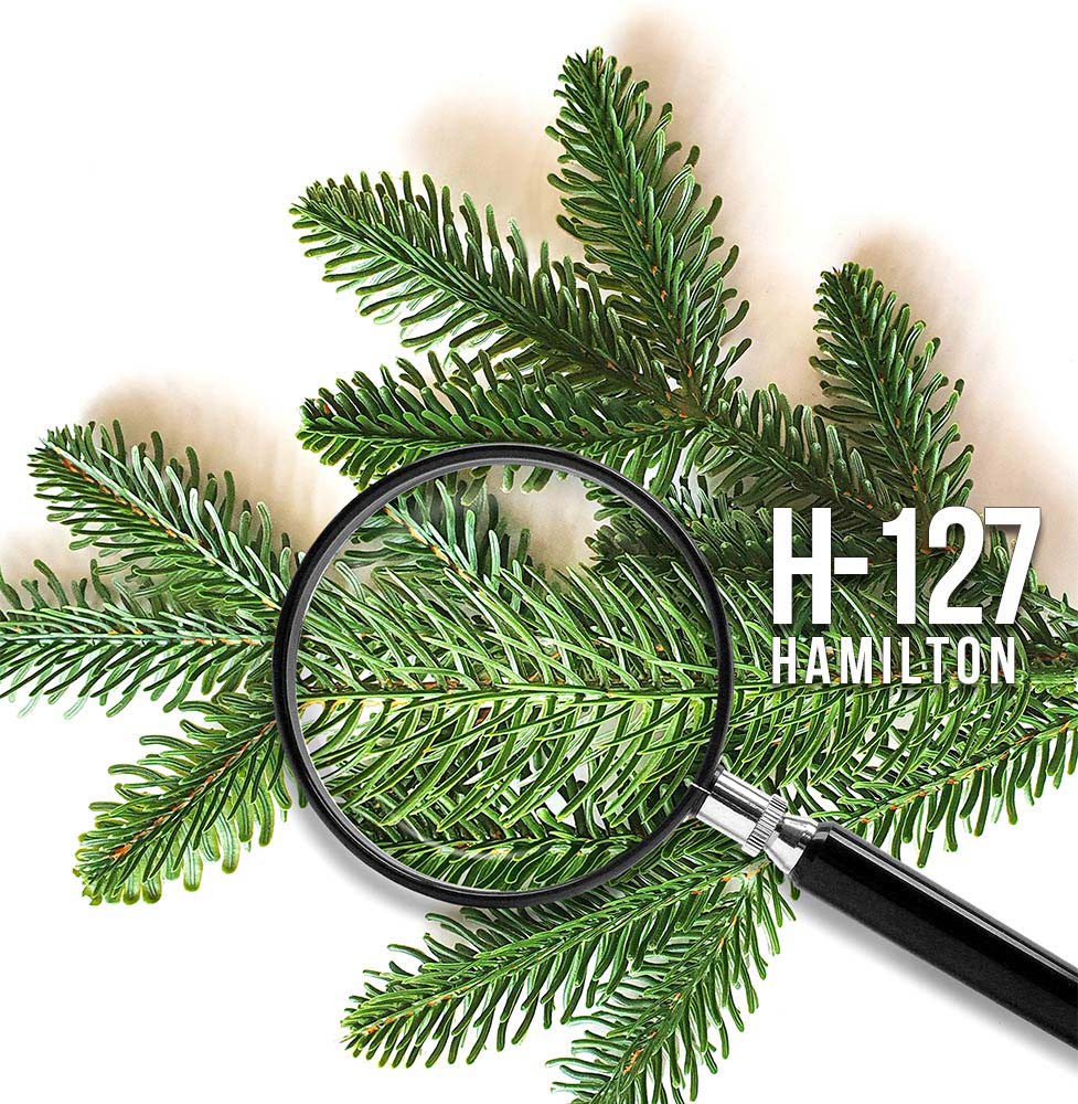 Original-Nadeldetail: Hamilton
