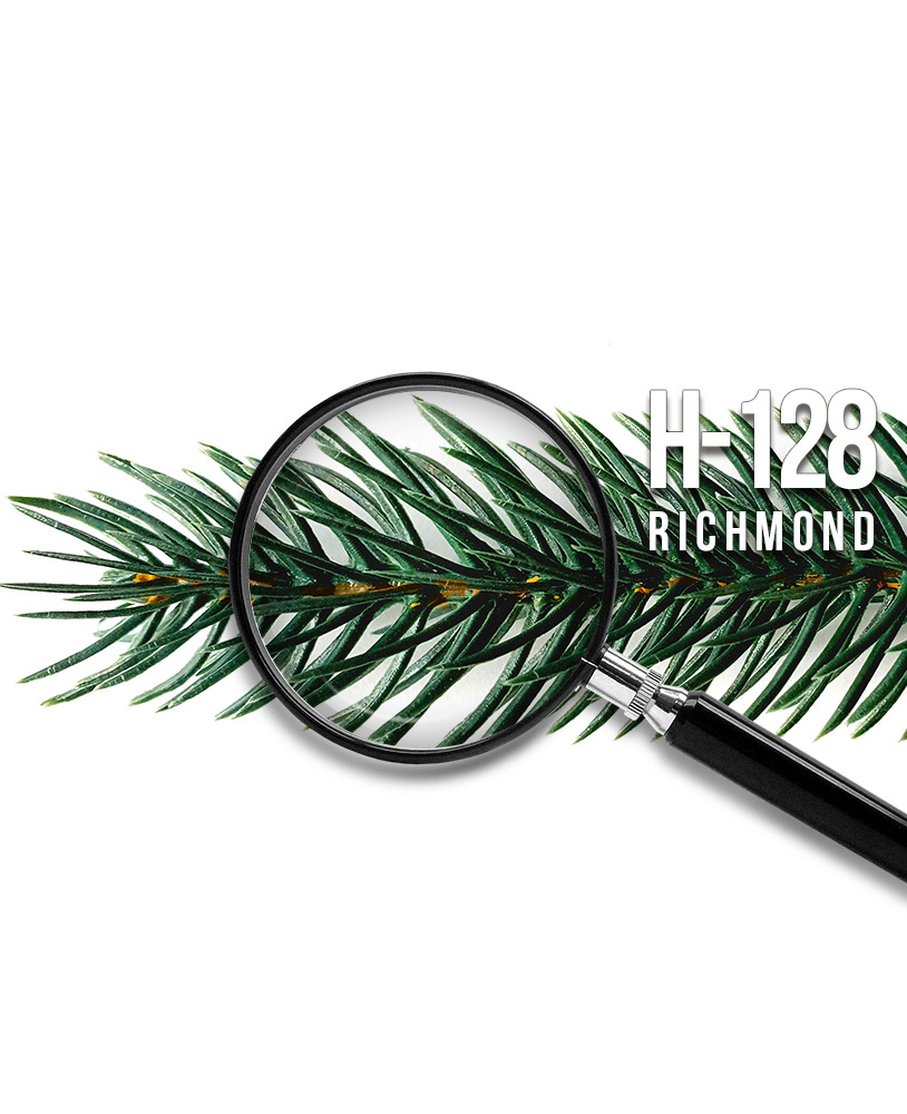 Original-Nadeldetail: Richmond
